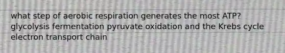 what step of aerobic respiration generates the most ATP? glycolysis fermentation pyruvate oxidation and the Krebs cycle electron transport chain