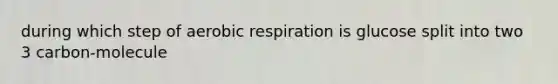 during which step of aerobic respiration is glucose split into two 3 carbon-molecule