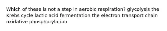 Which of these is not a step in aerobic respiration? glycolysis the Krebs cycle lactic acid fermentation <a href='https://www.questionai.com/knowledge/k57oGBr0HP-the-electron-transport-chain' class='anchor-knowledge'>the electron transport chain</a> <a href='https://www.questionai.com/knowledge/kFazUb9IwO-oxidative-phosphorylation' class='anchor-knowledge'>oxidative phosphorylation</a>