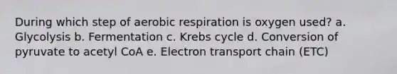 During which step of aerobic respiration is oxygen used? a. Glycolysis b. Fermentation c. Krebs cycle d. Conversion of pyruvate to acetyl CoA e. Electron transport chain (ETC)