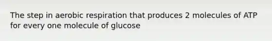 The step in aerobic respiration that produces 2 molecules of ATP for every one molecule of glucose