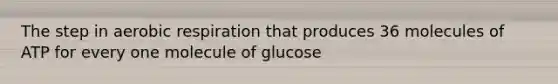 The step in aerobic respiration that produces 36 molecules of ATP for every one molecule of glucose