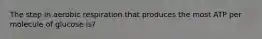 The step in aerobic respiration that produces the most ATP per molecule of glucose is?