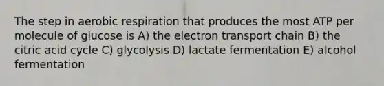 The step in aerobic respiration that produces the most ATP per molecule of glucose is A) the electron transport chain B) the citric acid cycle C) glycolysis D) lactate fermentation E) alcohol fermentation