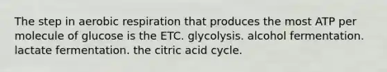 The step in aerobic respiration that produces the most ATP per molecule of glucose is the ETC. glycolysis. alcohol fermentation. lactate fermentation. the citric acid cycle.