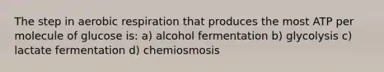 The step in aerobic respiration that produces the most ATP per molecule of glucose is: a) alcohol fermentation b) glycolysis c) lactate fermentation d) chemiosmosis