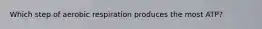 Which step of aerobic respiration produces the most ATP?