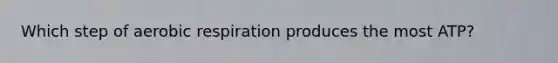 Which step of aerobic respiration produces the most ATP?