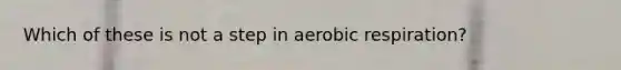 Which of these is not a step in aerobic respiration?