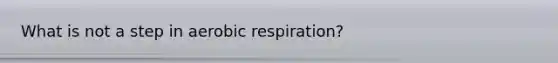 What is not a step in aerobic respiration?