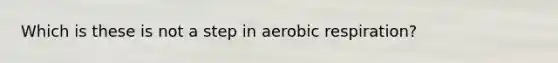 Which is these is not a step in <a href='https://www.questionai.com/knowledge/kyxGdbadrV-aerobic-respiration' class='anchor-knowledge'>aerobic respiration</a>?