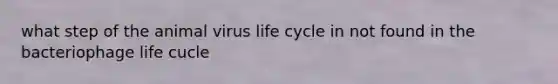 what step of the animal virus life cycle in not found in the bacteriophage life cucle