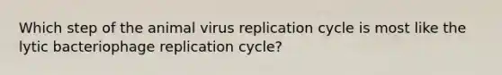 Which step of the animal virus replication cycle is most like the lytic bacteriophage replication cycle?