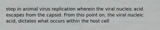 step in animal virus replication wherein the viral nucleic acid escapes from the capsid. From this point on, the viral nucleic acid, dictates what occurs within the host cell