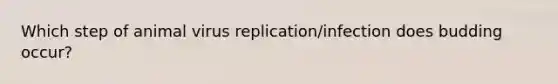 Which step of animal virus replication/infection does budding occur?