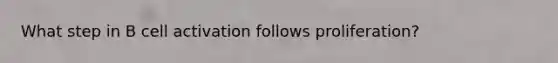 What step in B cell activation follows proliferation?