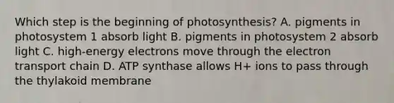 Which step is the beginning of photosynthesis? A. pigments in photosystem 1 absorb light B. pigments in photosystem 2 absorb light C. high-energy electrons move through the electron transport chain D. ATP synthase allows H+ ions to pass through the thylakoid membrane