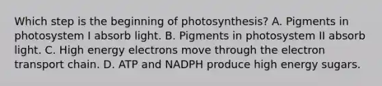 Which step is the beginning of photosynthesis? A. Pigments in photosystem I absorb light. B. Pigments in photosystem II absorb light. C. High energy electrons move through <a href='https://www.questionai.com/knowledge/k57oGBr0HP-the-electron-transport-chain' class='anchor-knowledge'>the electron transport chain</a>. D. ATP and NADPH produce high energy sugars.