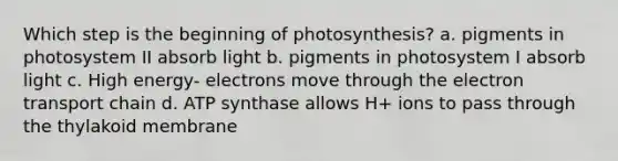 Which step is the beginning of photosynthesis? a. pigments in photosystem II absorb light b. pigments in photosystem I absorb light c. High energy- electrons move through the electron transport chain d. ATP synthase allows H+ ions to pass through the thylakoid membrane