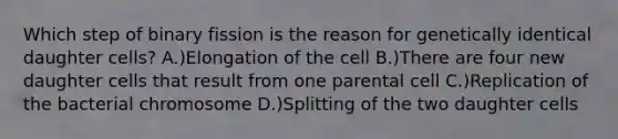 Which step of binary fission is the reason for genetically identical daughter cells? A.)Elongation of the cell B.)There are four new daughter cells that result from one parental cell C.)Replication of the bacterial chromosome D.)Splitting of the two daughter cells