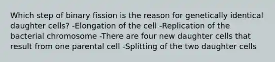 Which step of binary fission is the reason for genetically identical daughter cells? -Elongation of the cell -Replication of the bacterial chromosome -There are four new daughter cells that result from one parental cell -Splitting of the two daughter cells