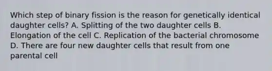 Which step of binary fission is the reason for genetically identical daughter cells? A. Splitting of the two daughter cells B. Elongation of the cell C. Replication of the bacterial chromosome D. There are four new daughter cells that result from one parental cell