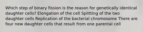 Which step of binary fission is the reason for genetically identical daughter cells? Elongation of the cell Splitting of the two daughter cells Replication of the bacterial chromosome There are four new daughter cells that result from one parental cell