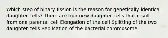 Which step of binary fission is the reason for genetically identical daughter cells? There are four new daughter cells that result from one parental cell Elongation of the cell Splitting of the two daughter cells Replication of the bacterial chromosome