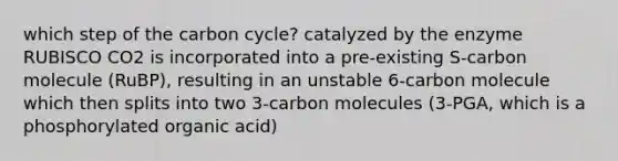 which step of the carbon cycle? catalyzed by the enzyme RUBISCO CO2 is incorporated into a pre-existing S-carbon molecule (RuBP), resulting in an unstable 6-carbon molecule which then splits into two 3-carbon molecules (3-PGA, which is a phosphorylated organic acid)