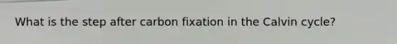 What is the step after carbon fixation in the Calvin cycle?