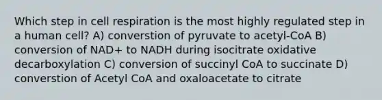 Which step in cell respiration is the most highly regulated step in a human cell? A) converstion of pyruvate to acetyl-CoA B) conversion of NAD+ to NADH during isocitrate oxidative decarboxylation C) conversion of succinyl CoA to succinate D) converstion of Acetyl CoA and oxaloacetate to citrate