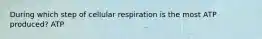 During which step of cellular respiration is the most ATP produced? ATP