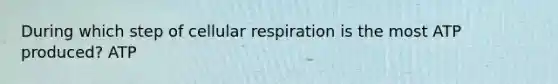 During which step of cellular respiration is the most ATP produced? ATP