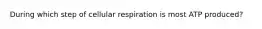 During which step of cellular respiration is most ATP produced?