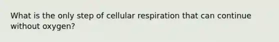 What is the only step of cellular respiration that can continue without oxygen?