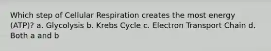 Which step of Cellular Respiration creates the most energy (ATP)? a. Glycolysis b. Krebs Cycle c. Electron Transport Chain d. Both a and b