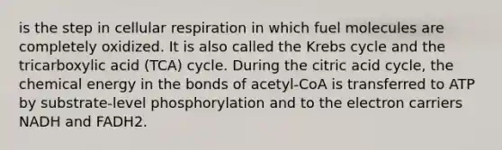 is the step in cellular respiration in which fuel molecules are completely oxidized. It is also called the Krebs cycle and the tricarboxylic acid (TCA) cycle. During the citric acid cycle, the chemical energy in the bonds of acetyl-CoA is transferred to ATP by substrate-level phosphorylation and to the electron carriers NADH and FADH2.