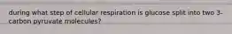 during what step of cellular respiration is glucose split into two 3-carbon pyruvate molecules?