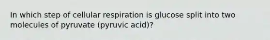 In which step of cellular respiration is glucose split into two molecules of pyruvate (pyruvic acid)?