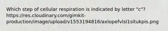 Which step of cellular respiration is indicated by letter "c"? https://res.cloudinary.com/gimkit-production/image/upload/v1553194816/axlopefvlsl1situkpis.png