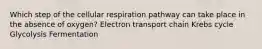 Which step of the cellular respiration pathway can take place in the absence of oxygen? Electron transport chain Krebs cycle Glycolysis Fermentation