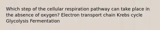 Which step of the cellular respiration pathway can take place in the absence of oxygen? Electron transport chain Krebs cycle Glycolysis Fermentation