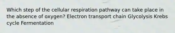 Which step of the cellular respiration pathway can take place in the absence of oxygen? Electron transport chain Glycolysis Krebs cycle Fermentation