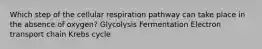 Which step of the cellular respiration pathway can take place in the absence of oxygen? Glycolysis Fermentation Electron transport chain Krebs cycle