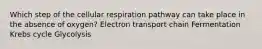 Which step of the cellular respiration pathway can take place in the absence of oxygen? Electron transport chain Fermentation Krebs cycle Glycolysis