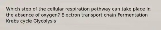 Which step of the <a href='https://www.questionai.com/knowledge/k1IqNYBAJw-cellular-respiration' class='anchor-knowledge'>cellular respiration</a> pathway can take place in the absence of oxygen? Electron transport chain Fermentation <a href='https://www.questionai.com/knowledge/kqfW58SNl2-krebs-cycle' class='anchor-knowledge'>krebs cycle</a> Glycolysis