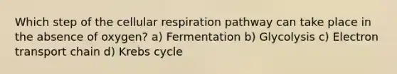 Which step of the <a href='https://www.questionai.com/knowledge/k1IqNYBAJw-cellular-respiration' class='anchor-knowledge'>cellular respiration</a> pathway can take place in the absence of oxygen? a) Fermentation b) Glycolysis c) Electron transport chain d) <a href='https://www.questionai.com/knowledge/kqfW58SNl2-krebs-cycle' class='anchor-knowledge'>krebs cycle</a>