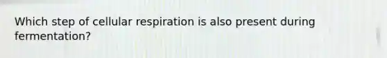 Which step of cellular respiration is also present during fermentation?