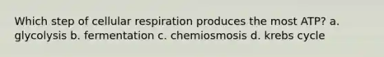 Which step of cellular respiration produces the most ATP? a. glycolysis b. fermentation c. chemiosmosis d. krebs cycle