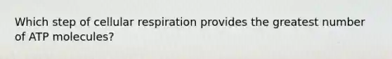 Which step of cellular respiration provides the greatest number of ATP molecules?